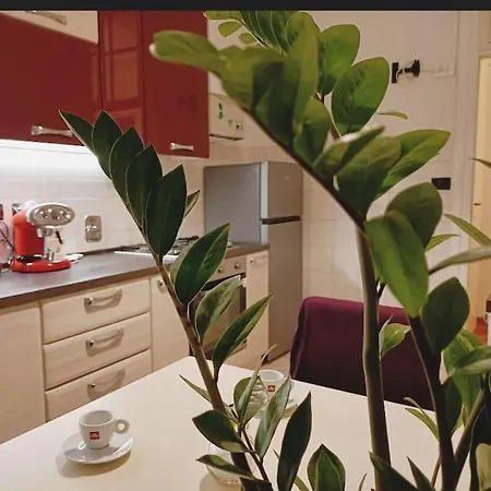 Apartmán Galleria Sul Mare Terst